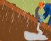 Đổ bê tông gặp trời mưa xử lý thế nào
