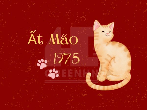 Tuổi Ất Mão xây nhà năm 2024: Nên hay không?