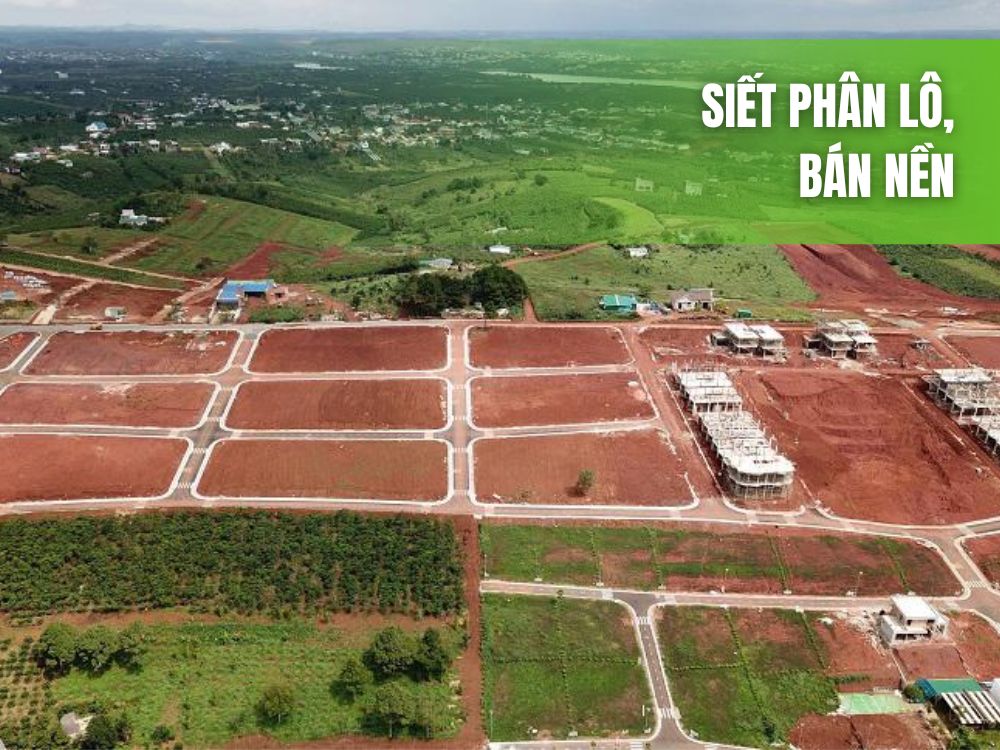 Luật xây dựng nhà ở quy định việc siết phân lô, bán nền tại khu vực phường của đô thị loại III trở lên