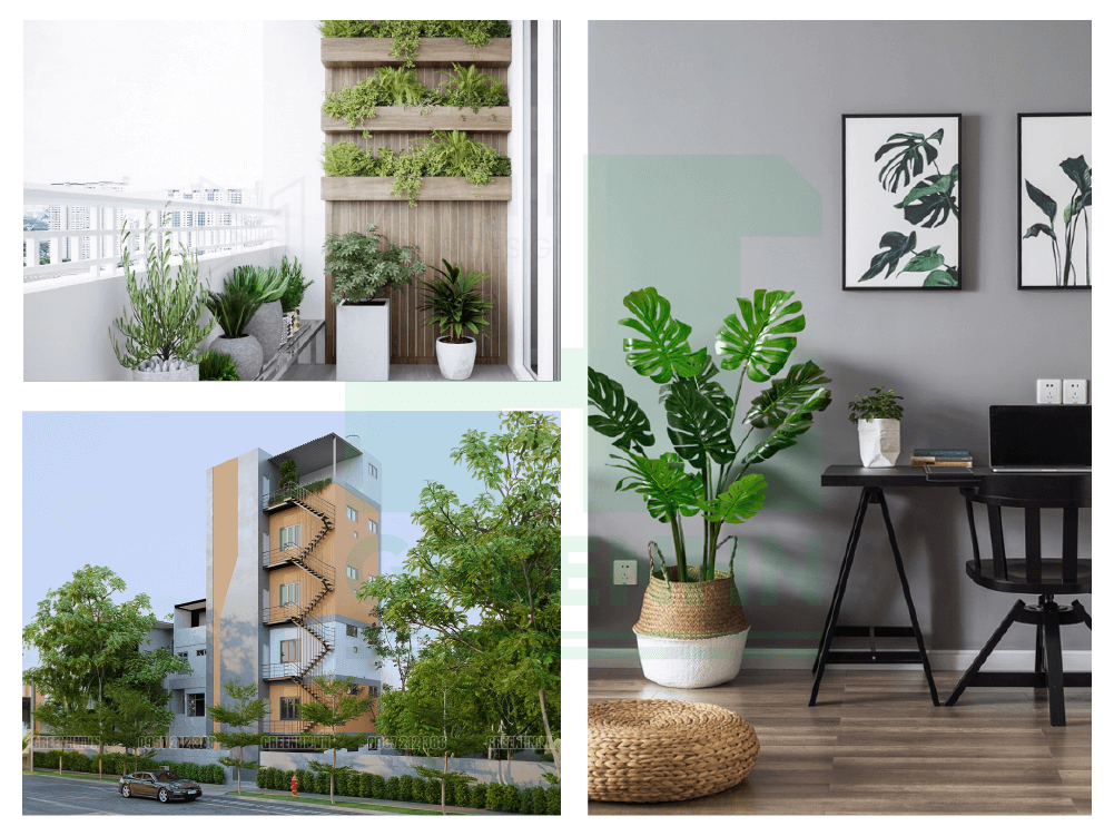 Bố trí cây xanh cho chung cư mini 60m2