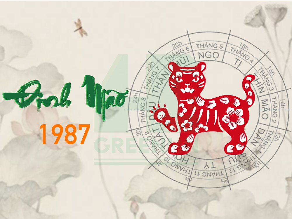 Tuổi Kỷ Mão xây nhà năm 2025 cần lưu ý điều gì?