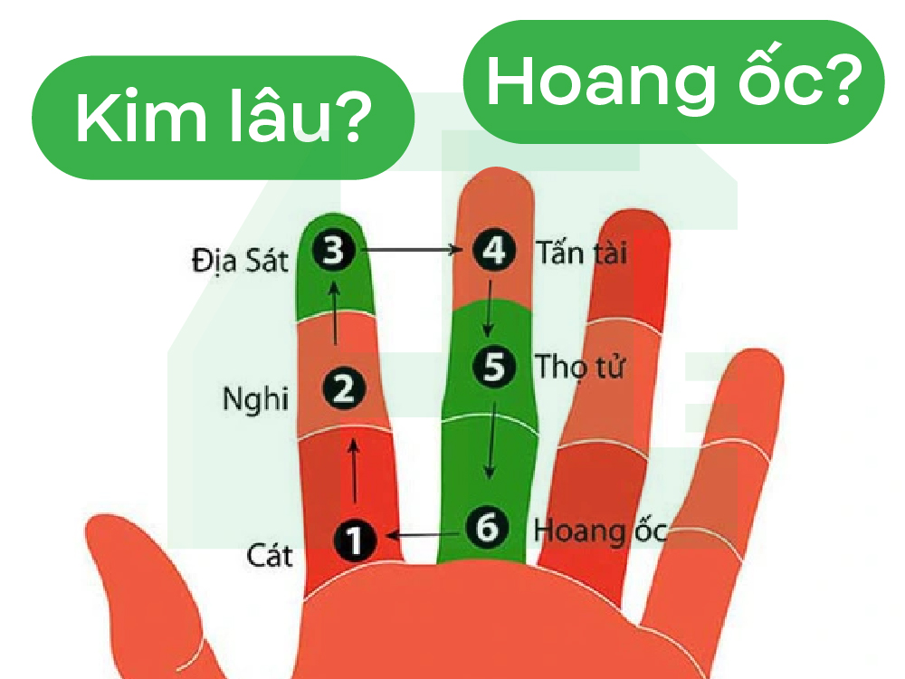 Cách tính tuổi làm nhà thông qua bàn tay hoang ốc kim lâu