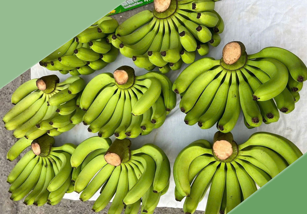 Quả chuối trong mâm ngũ quả cúng động thổ