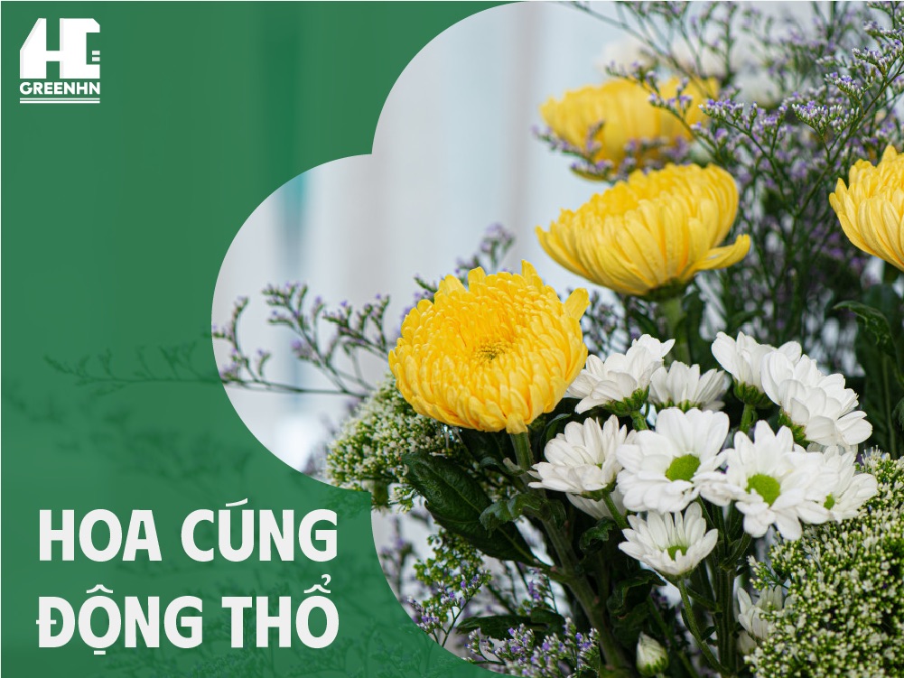 Hoa cúng động thổ mang lại may mắn