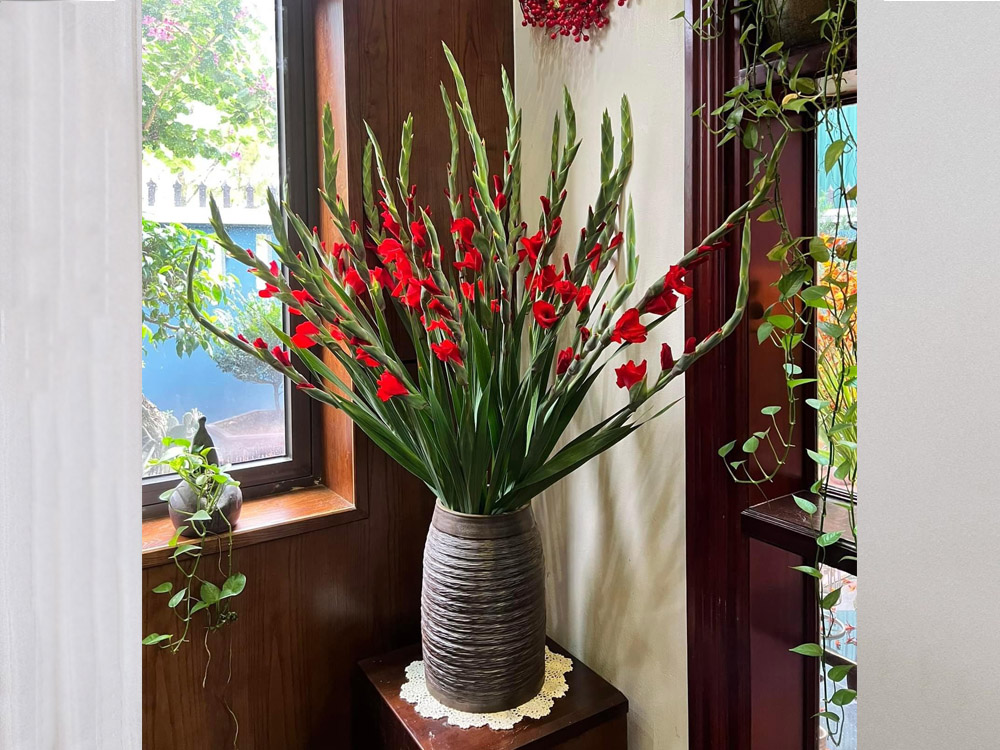 Hoa lay ơn cúng động thổ mang lại may mắn